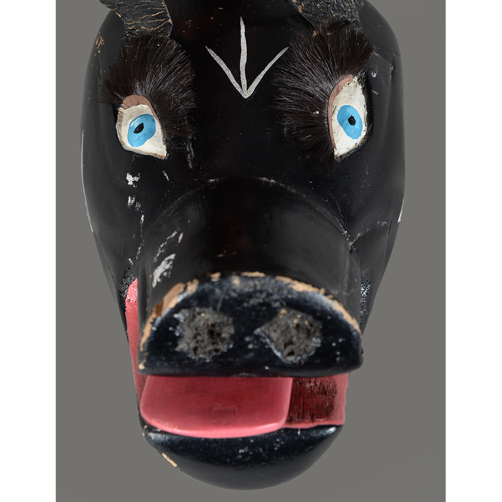 Latin America - Mexico (Chiapas) - LAMX119 Oconozoautla - Mahoma 1b